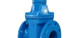 Sluice Valve