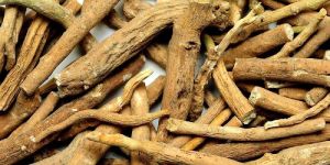 Ashwagandha Roots