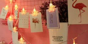 Photo Clip LED String Lights