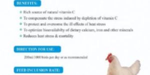 Natural Vitamin C with Salicylic Acid