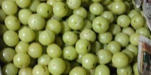 Green Amla