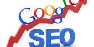 SEO Training Services