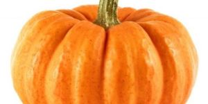 Fresh Pumpkin