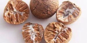 Betel Nuts