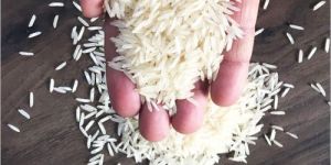 Pusa Non Basmati Rice