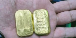 Gold Biscuits