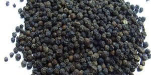 Black Pepper Seeds