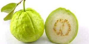 Fresh Guava