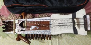 Sarangi Musical Instrument