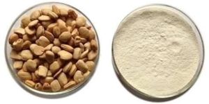 Tamarind Kernel Powder