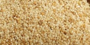 Barnyard Millet Seeds