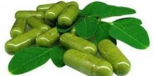 Moringa Capsules