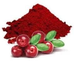 Spray Dried Cranberry Powder