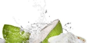 Spray Dried Tender Coconut Powder