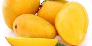 Alphonso Mango
