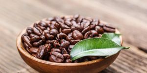 Robusta Coffee Beans