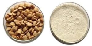 Tamarind Kernel Powder