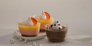 Plastic Dessert Bowl