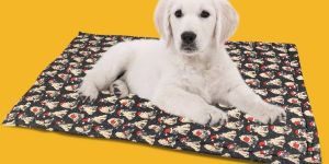 BFF Christmas Mattress