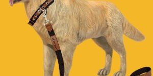 BFF Leather & Cotton Brown Leash & Collar