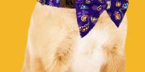 BFF Pure Cotton Bow Collar