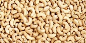 Cashew Nuts