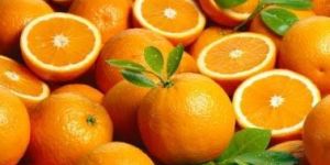 Fresh Orange