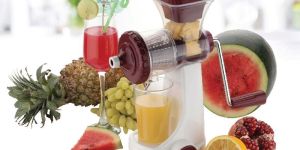 Square Fruit Juicer