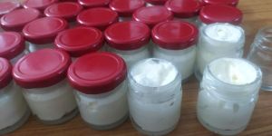 Shea Butter Body Cream
