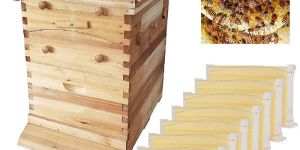Beehive Box
