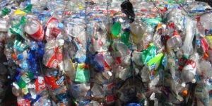 Colored PET Bottle Scrap