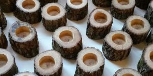 Wooden Bark Candle Holder