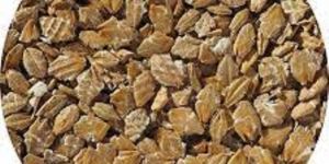 Pre Gelatinized Torrefied Barley Flakes
