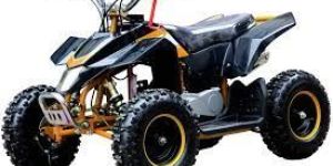 Kids 49cc Z20 Kids Petrol ATV Quad Bike
