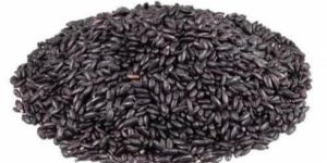 Karuppu Kavuni Black Rice