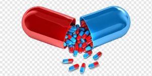 Empty Hard Gelatine Capsule