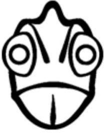 Create Your Professional Identity