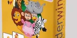 Educational Flash Cards - Madagascar Safari