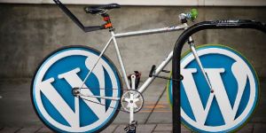 Wordpress Web Development Service