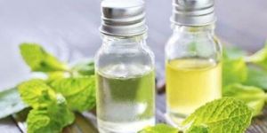 Natural Mentha Oil