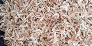 Dried Fish