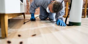 Pest Control Services