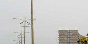 Butterfly Arm Octagonal Pole