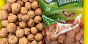 Walnut in Shell (Chinar)