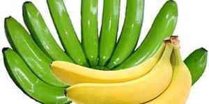 Fresh Cavendish Banana
