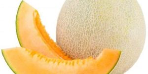 Fresh Muskmelon
