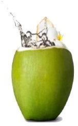 Fresh Tender Coconut