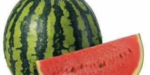 Fresh Watermelon