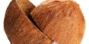 Raw Coconut Shell