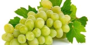 White Seedless Grapes